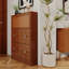French-style ultra-thin flip-top shoe cabinet