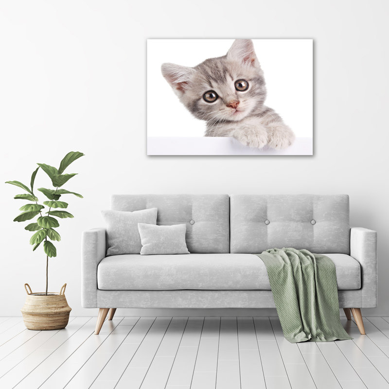 Grey Cat - Wrapped Canvas Print