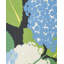 Hydrangea Fabric-63940470