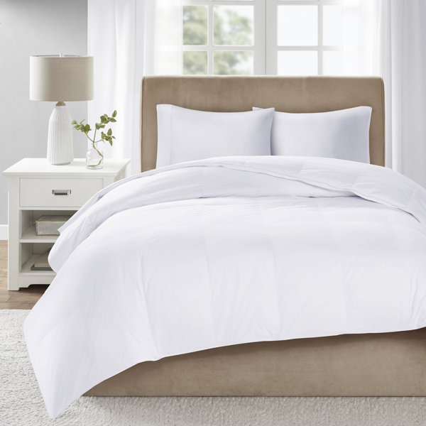 Latitude Run® Level 3 300 Tc Cotton Sateen Down Comforter with 3M ...