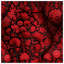 Couvre-lit matelassé à motif floral rouge toutes tailles-126078352