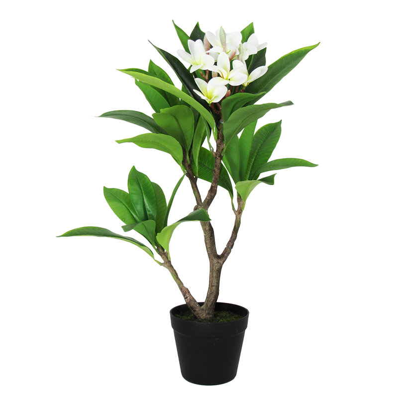 Plumeria artificiel 27 po en pot