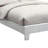 Upholstered Bed-878818420-878818698