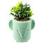 20cm Faux Plant in Ceramic Pot