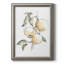 Watercolor Fruit Contour II - reproduction d'art sur toile-302913847-322055701