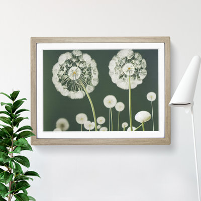 Charming Dandelion Flowers - Framed Print