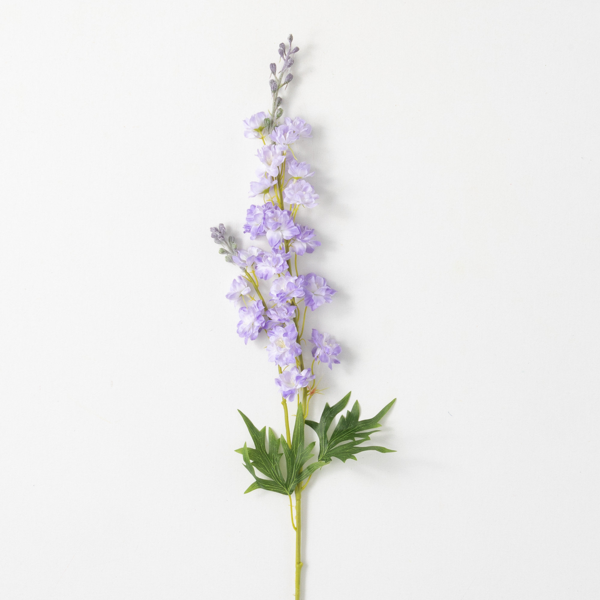 Purple Larkspur - Delphinium - Dried Flowers Forever - DIY