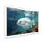 White Single Picture Framed