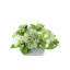 Hydrangeas with Berries Floral Arrangement