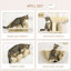 73 cm H Cat Tree / Condo