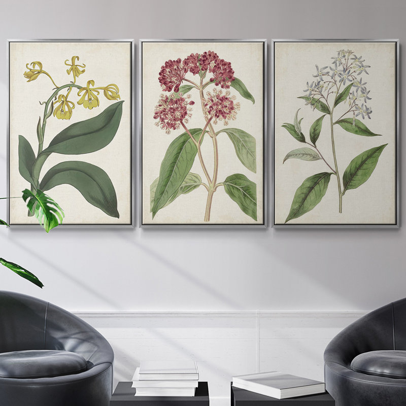Ensemble de 3 pièces encadrées sur toile Antique Botanical Collection VI, H 27 po x l 54 po, Argent