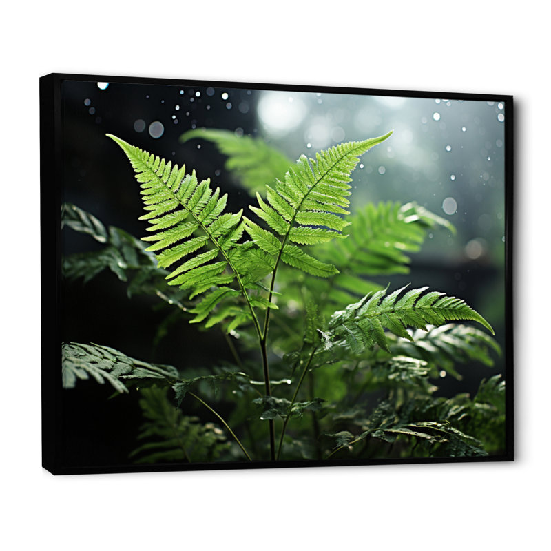 " Ferns Close Up Photo IV ", H 24 po x l 32 po x P 1 po, Cadre flottant noir