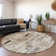 Machine Washable Indoor/Outdoor Claudian ACN1630 Taupe Rug