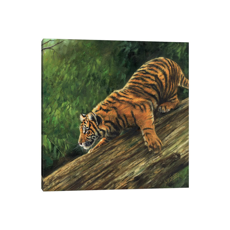 Tiger In Tree 1 Piece Wall Art on Canvas, 30.48 cm H x 30.48 cm W, Canvas