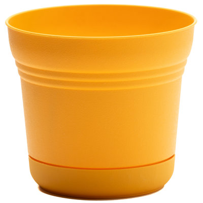 Saturn Traditional Plastic Indoor/Outdoor Round Planter with Saucer