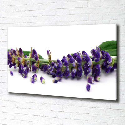 Lavender 1 Piece Wrapped Canvas Wall Art