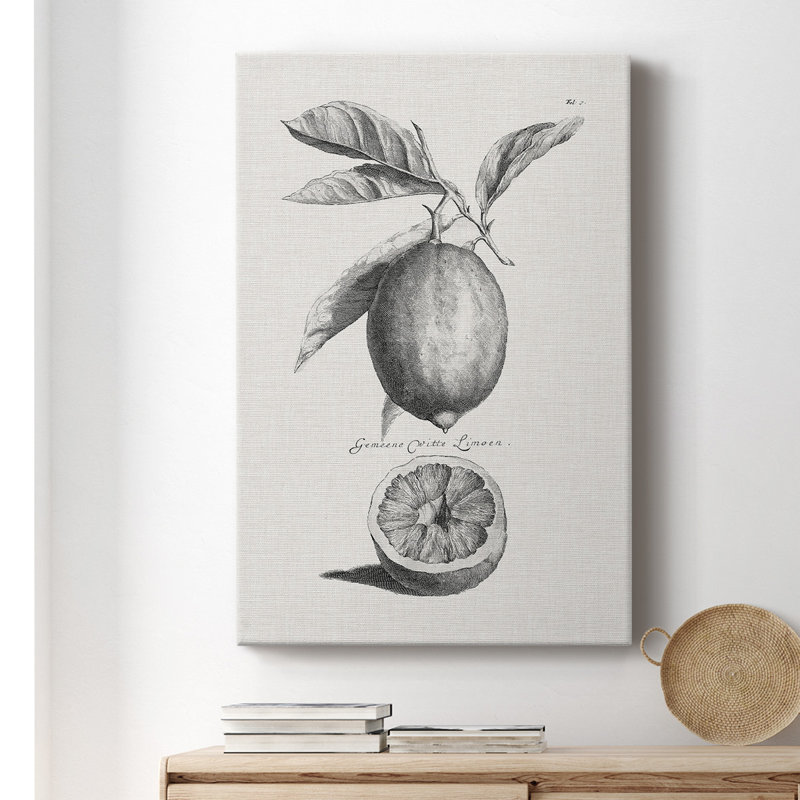 Antique citrons et oranges I - peinture sur toile tendue, H 18 po x l 12 po x P 1 po