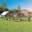Grand poulailler en métal, pour poulets 20/30, cage d'extérieur, 19,69 x 9,84 x 6,56 pi