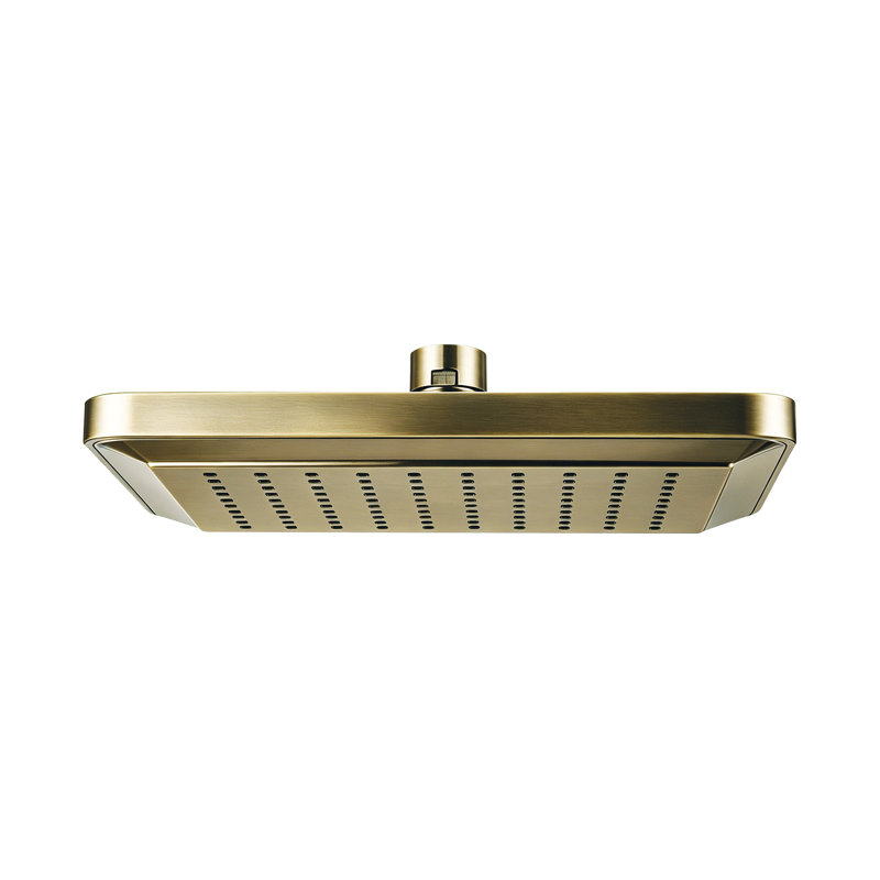 Pomme de douche fixe Rain