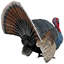 Statue de dindon sauvage Wild Tom