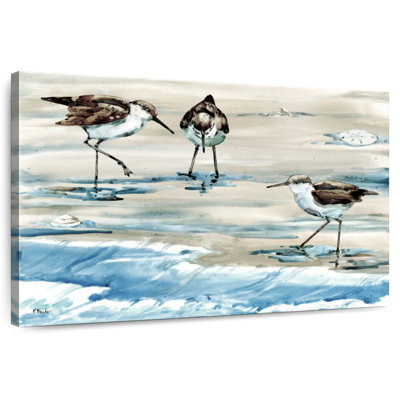Brampt Rockhampton Sandpipers I Light