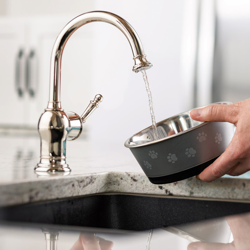 Iris Cold Water Dispenser, Polished Nickel