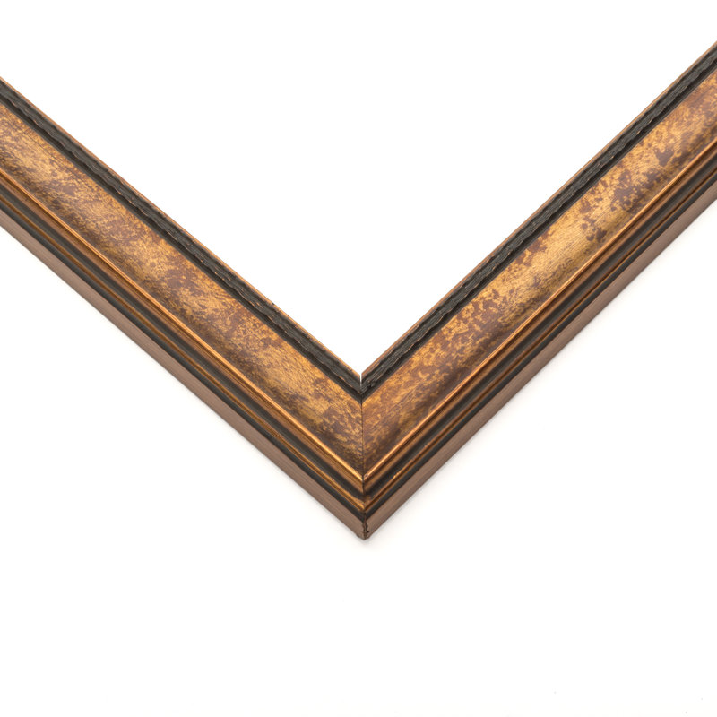 Dinovo Brown Solid Wood Picture Frame, 10" W x 24" H