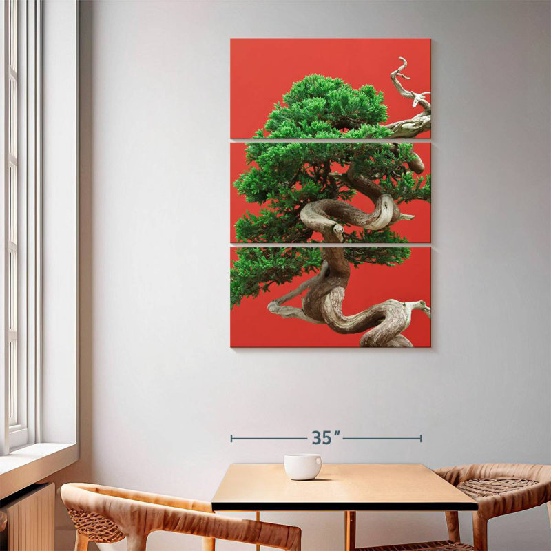 Harnek Juniper Bonsai Tree