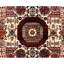 Aryana Wool Oriental Area Rug