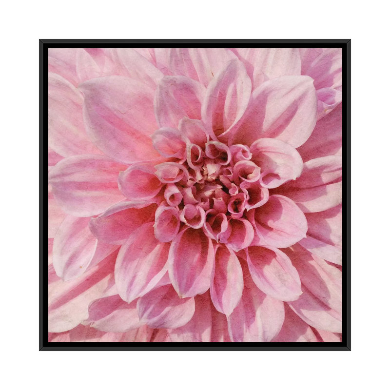 " Wall Flower VII " by Alonzo Saunders, 18" H x 18" W x 1.5" D, Black Framed Canvas, No Mat
