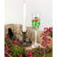 Earnesteen 6oz. Flute Set