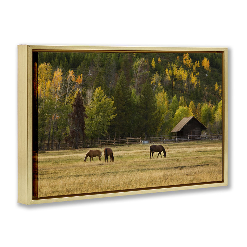 Cadre flottant Horses In Jackson Hole, design par Scott Stulberg, 17 x 25, Metallic Gold Floater Framed