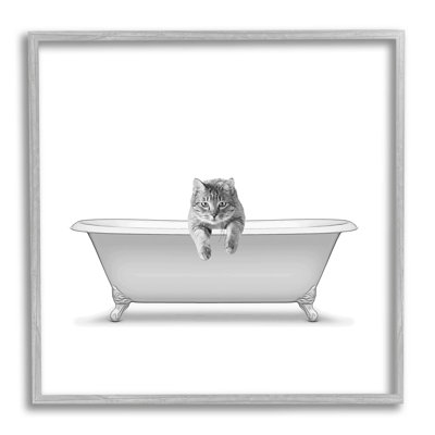 «Cat Antique Tub» par Annalisa Latella, reproduction d'art sur bois