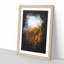 Golden Forest in Italy - Framed Print-56742670-56742672
