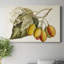 «Tropical Foliage and Fruit IV», reproduction sur toile tendue-1114912598