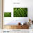 Yarlin Peas-107705787