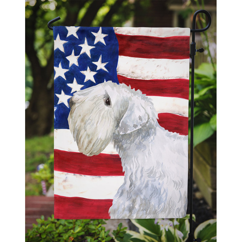 2 côtés en polyester de 2 côtés american drapeau de jardin, Shar Pei