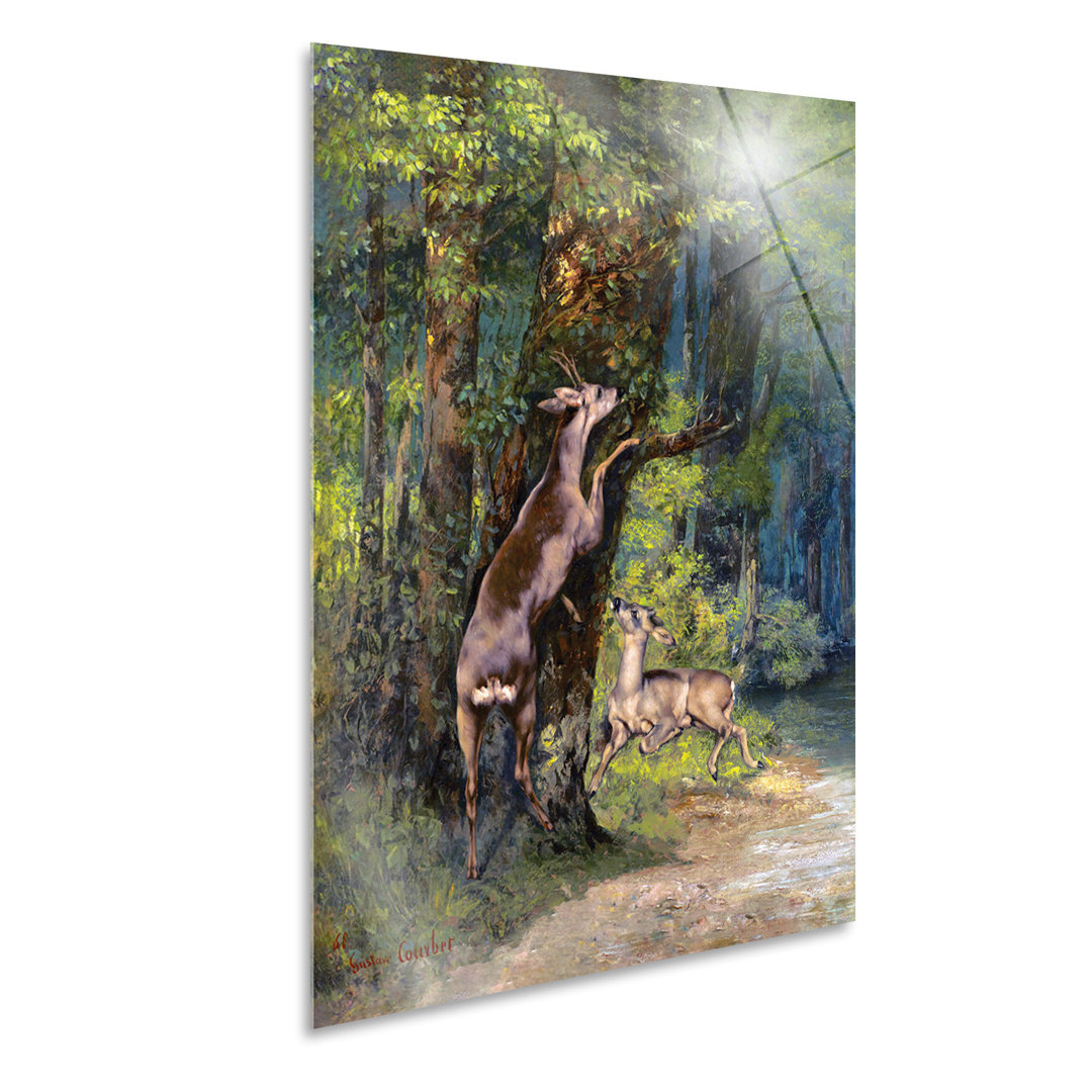 Leinwandbild Deer in the Forest von Gustave Courbet