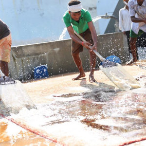 Washing Process