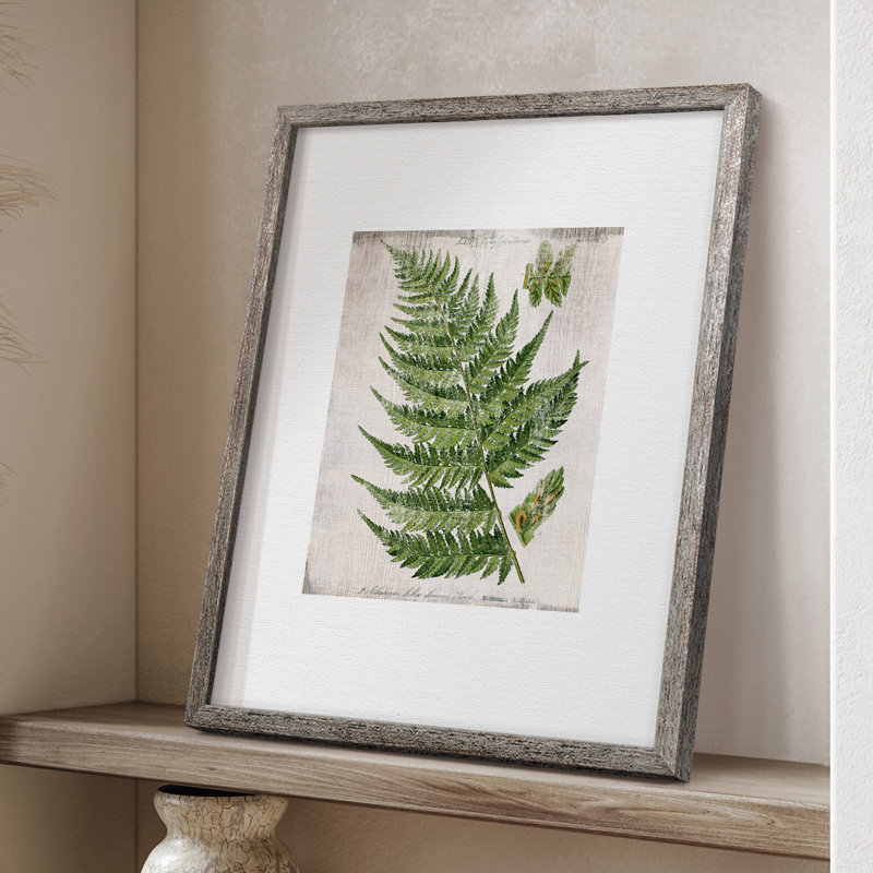 Greenhouse Fern II, reproduction encadrée - bois massif