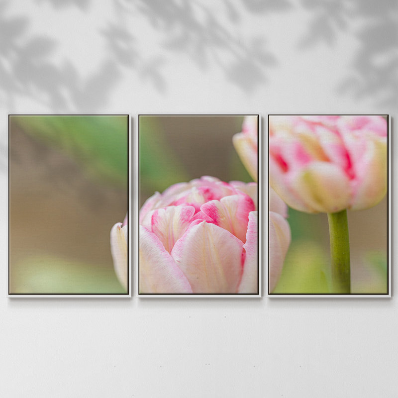 Blush, reproduction sur toile 3 pièces, H 24 po x l 48 po x P 2 po, Blanc