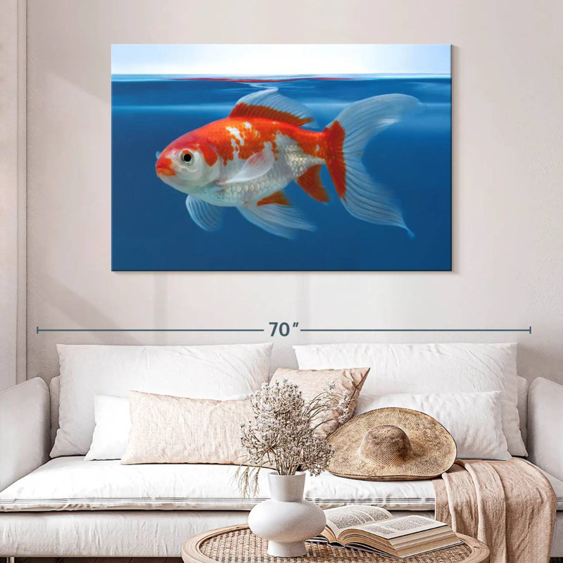 Aquarium Brampt Shubunkin poisson rouge, H 32 po x l 48 po