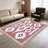 Pink Southwestern area rugs for Living Room, Soft and Comfortable, Suitable for all seasons, easy to maintain, machine washable Indoor floor mat, Under Table Farmhouse suitable for Bedroom, Dining Room, Study, Patio, Balcony, Home Decor-600016392
