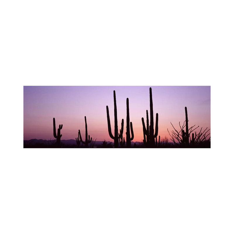 Silhouette of Saguaro Cacti (Carnegiea Gigantea) on a Landscape, Saguaro National Park, Tucson, Pima County, Arizona, USA 1 Piece Wrapped Canvas Panoramic Wall Art