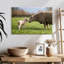 Brampt Sheep Love-108115833