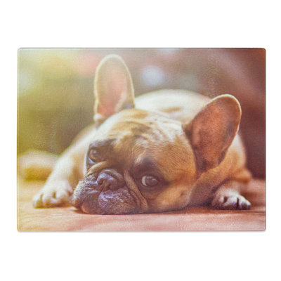 Resting French Bulldog Dog  Glass Chopping Board