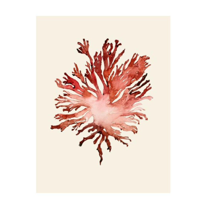 «Sea Love I» par Elle Youngstrom - peinture sur toile, Couche de verre, H 62 po x l 47 po x P 1,5 po