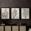 Sépia plantes exotiques I - Toile tendue avec châssis sur mesure - 3 pièces-1697689638-1697689656