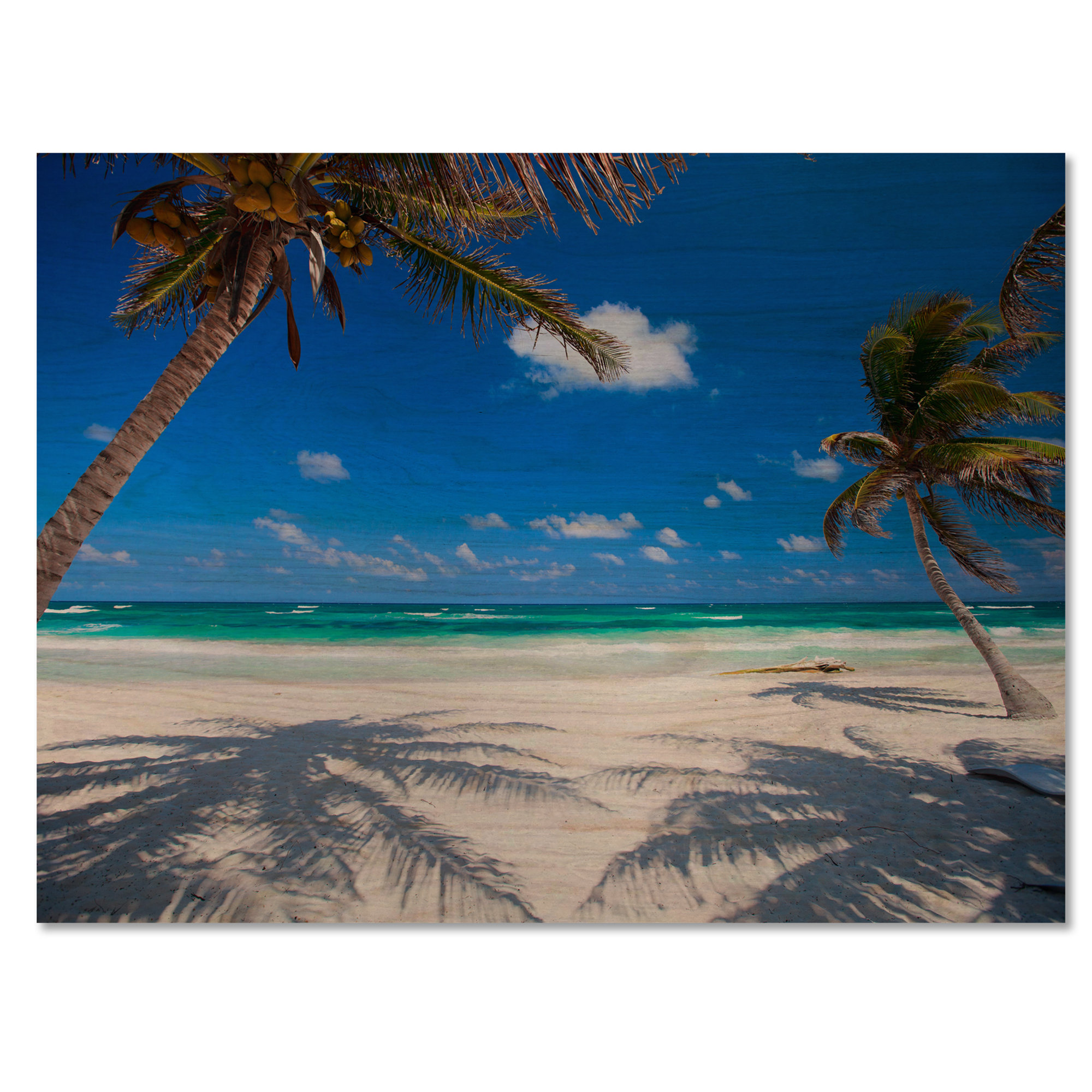 Bay Isle Home Coconut Palms At Beach On Wood Print | Wayfair