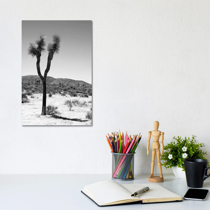 One Joshua Tree by Philippe Hugonnard - Wrapped Canvas Print, 20.32 cm H x 30.48 cm W